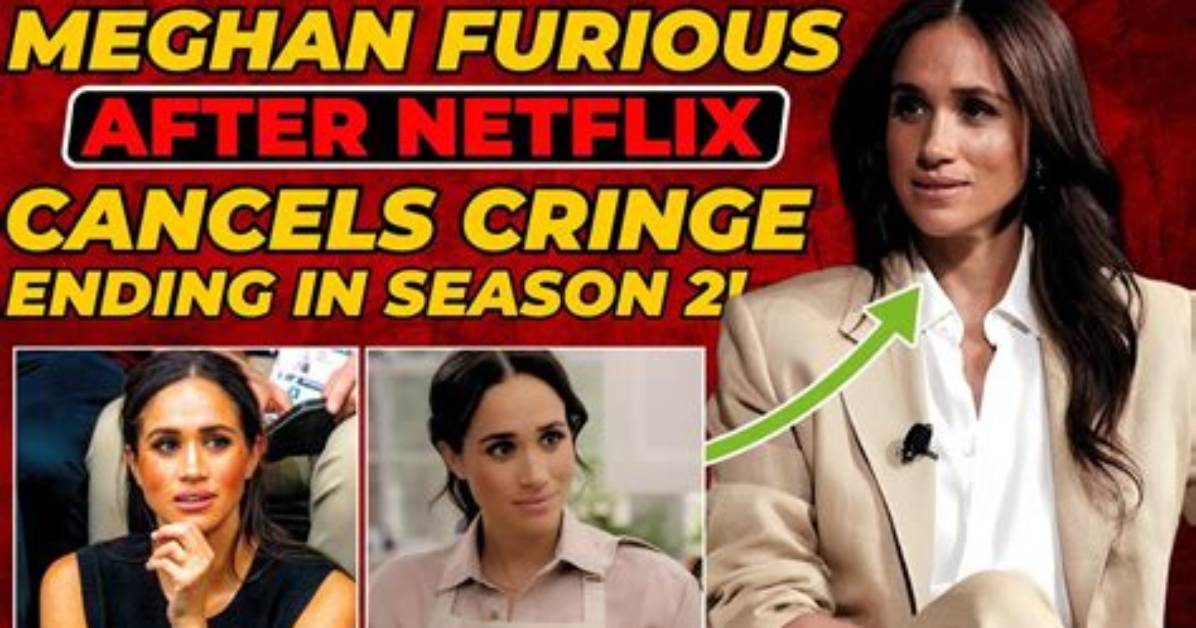 Viewers Are Furious After Netflix Cancels Two of Its Best New Shows