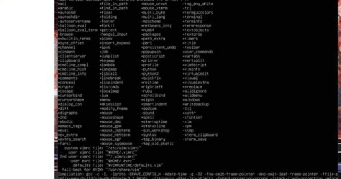 Vim Config File Empty