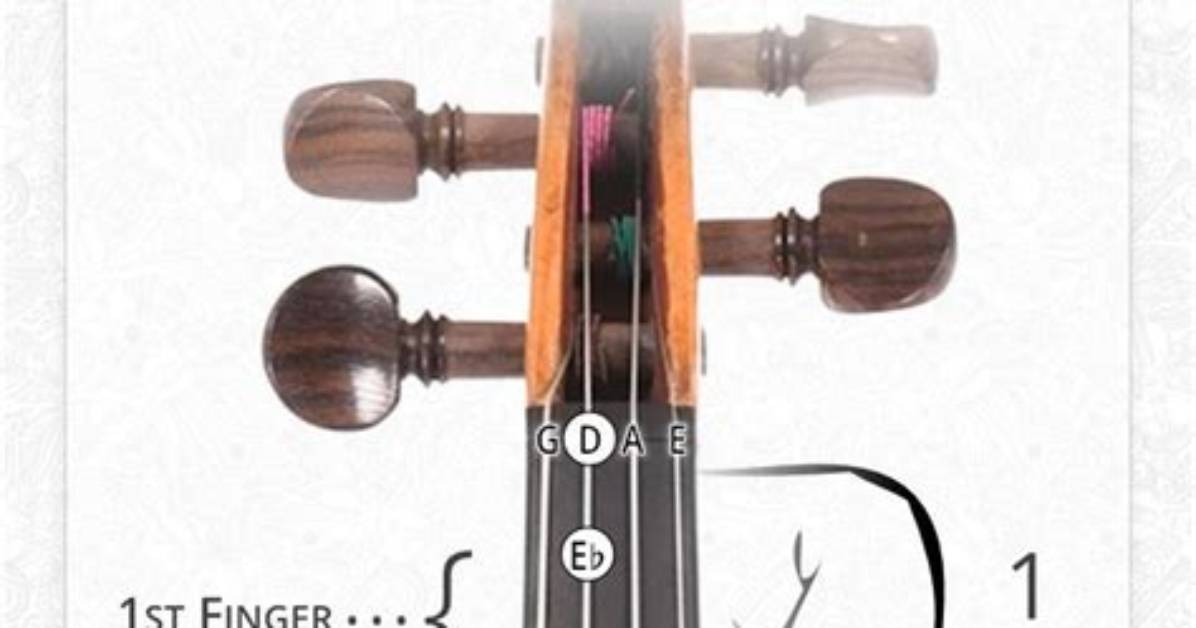 Violin D String Notes Quiz