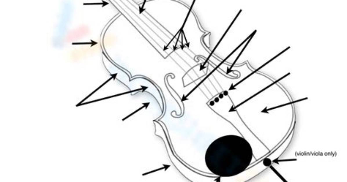 Violin Parts Quiz