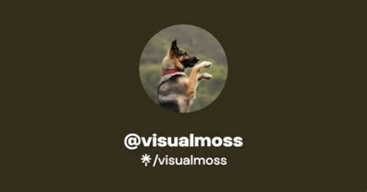 Visualmoss