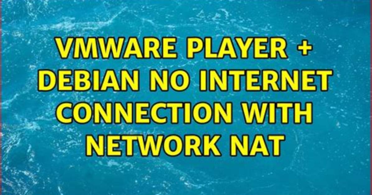 Vmware Player + Debian: No Internet Connection with Network Nat