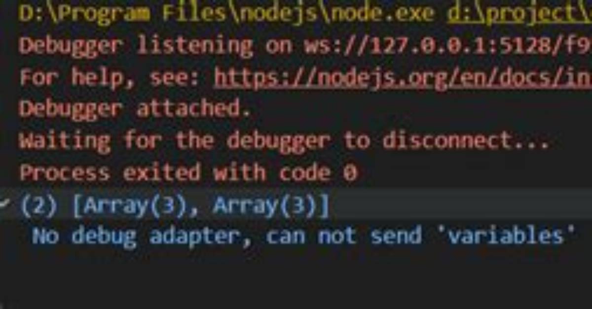 Vscode: No Debug Adapter, Can Not Send 'Variables'"