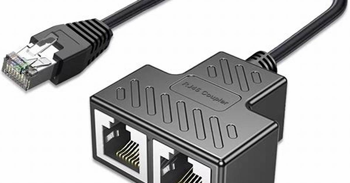 Wan and Lan Through Network Splitter