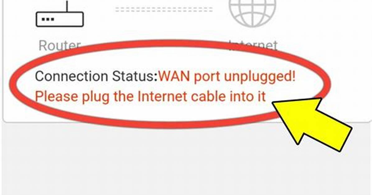 Wan Port Unplugged