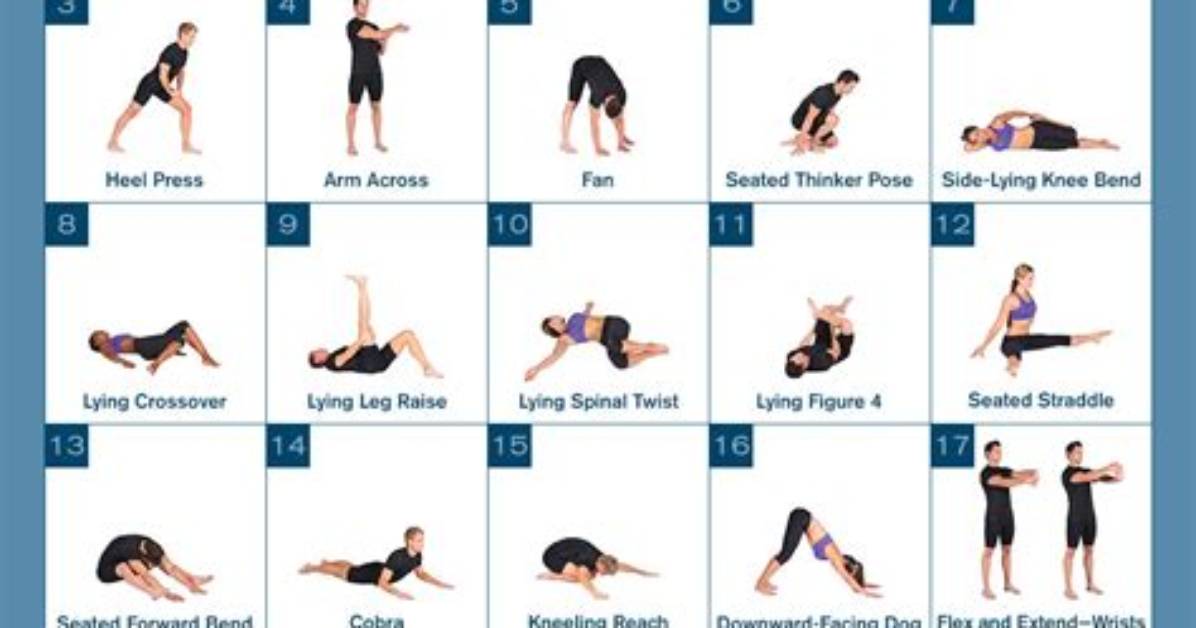 Warm up & Cool Down | Static + Dynamic Stretching Exercises