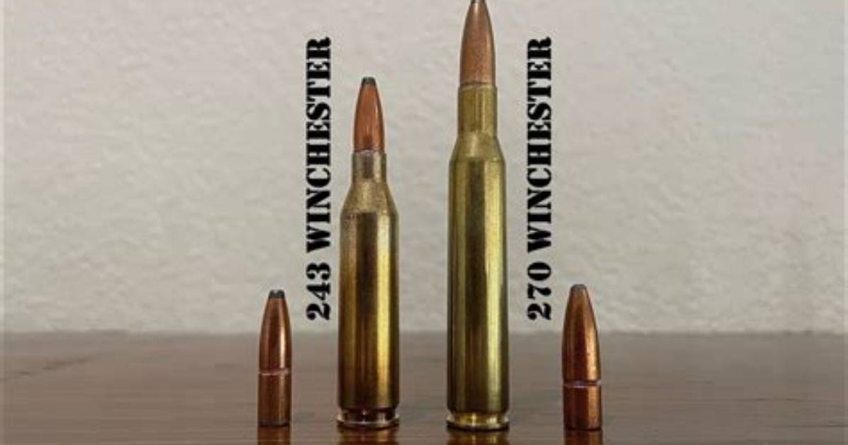Was a 243 Caliber?
