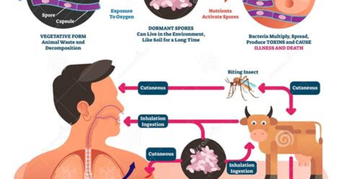 Was Anthrax a Virus?