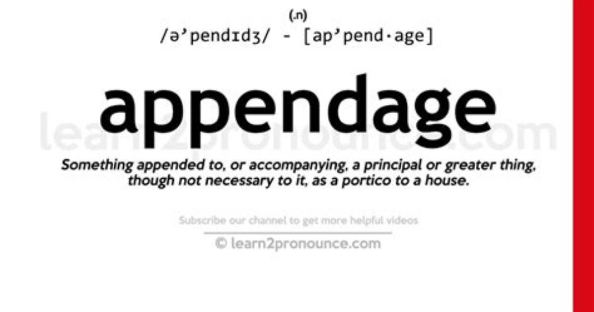 Was Does Appendage Mean?
