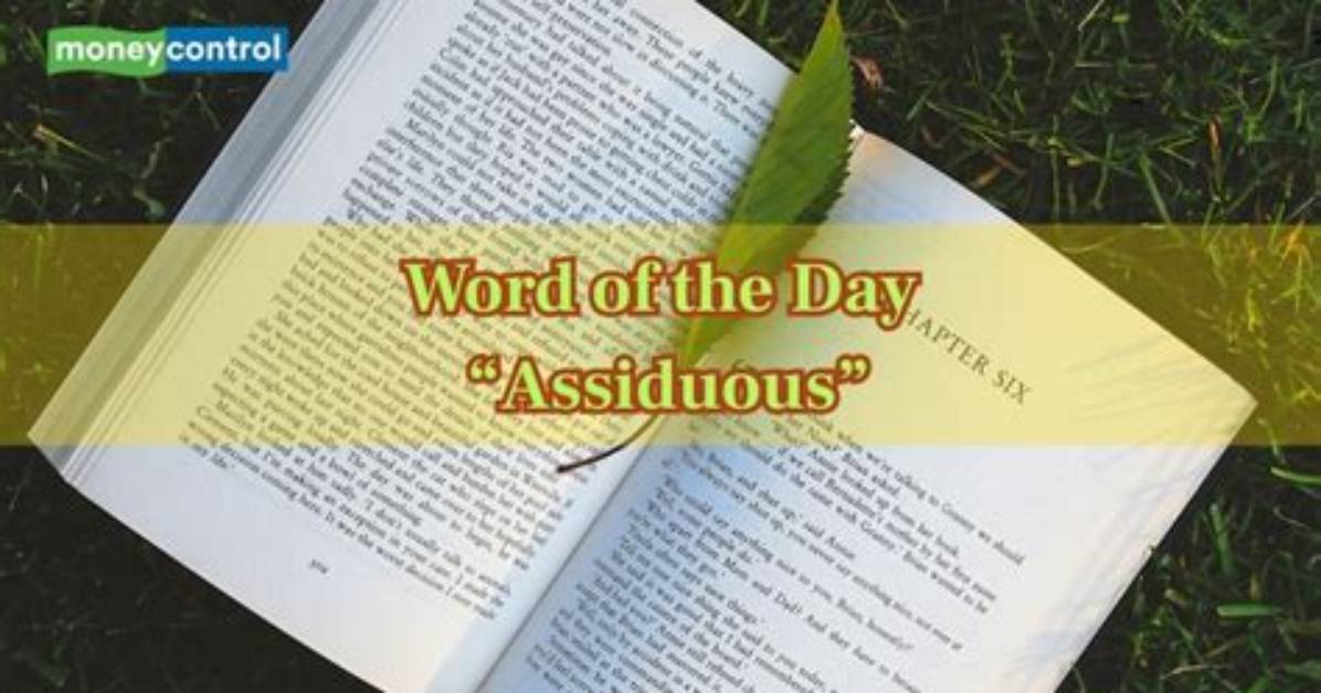 Was Does Assiduous Mean?