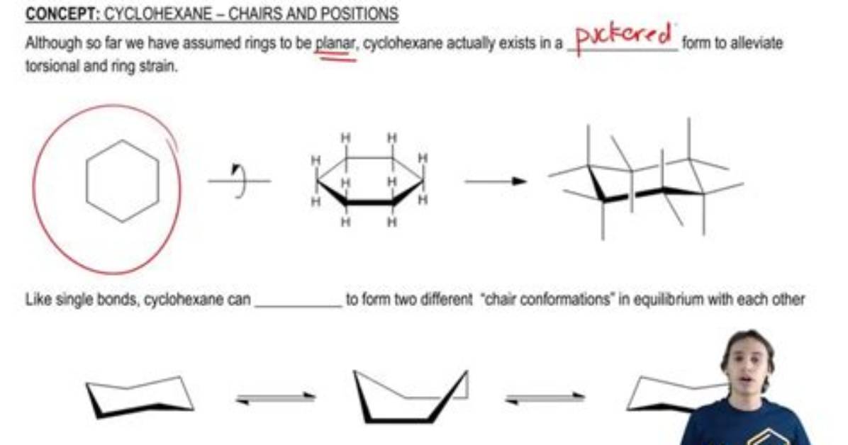 Was Does Conformation Mean?