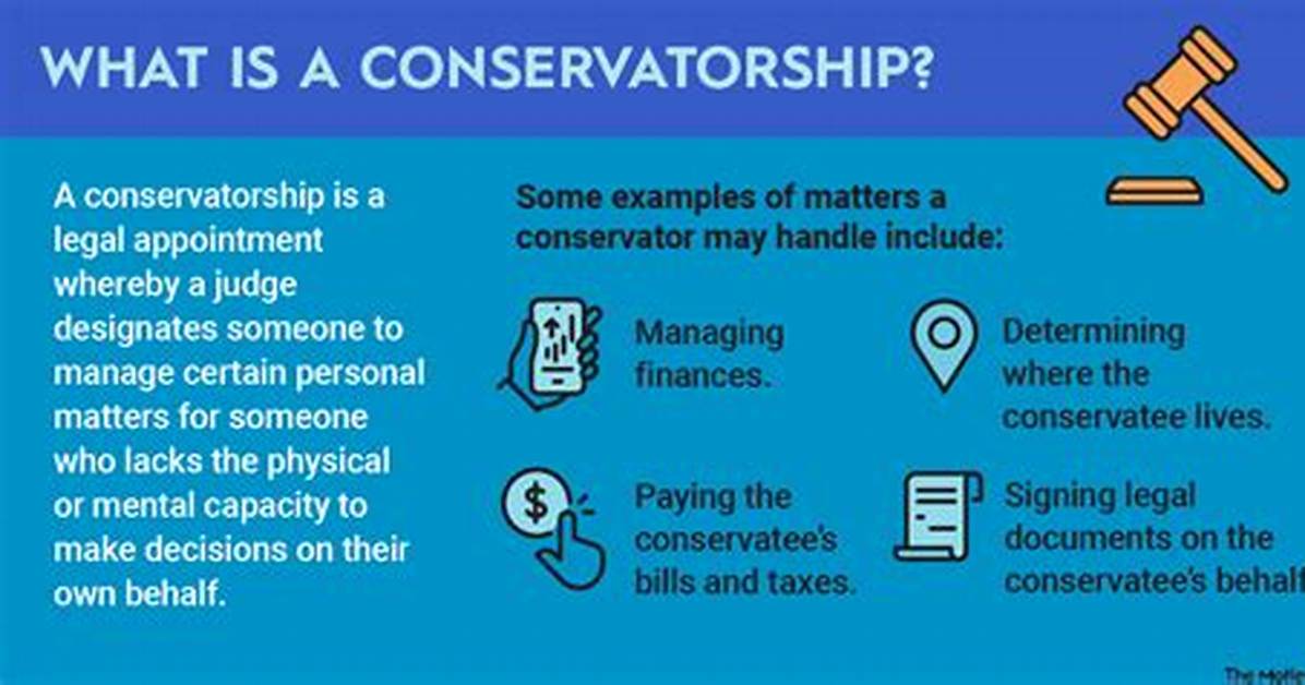 Was Does Conservatorship Mean?