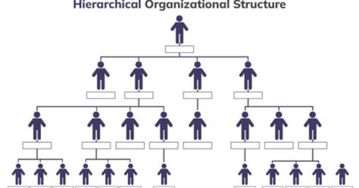 Was Does Hierarchical Mean?