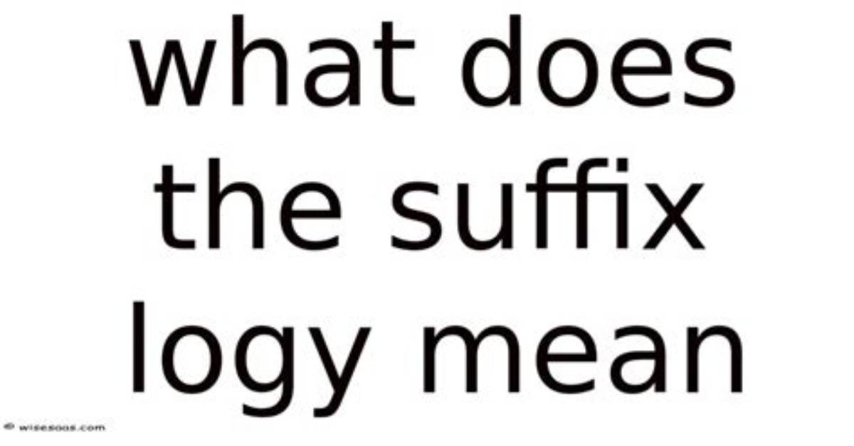 Was Does Logy Mean?