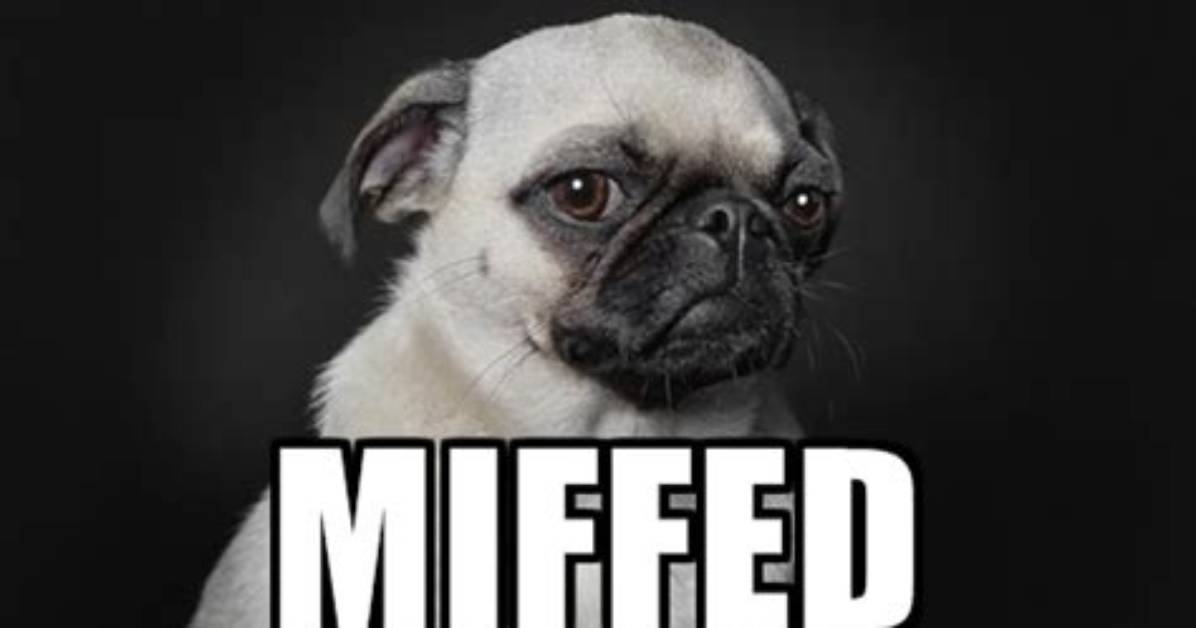 Was Does Miffed Mean?