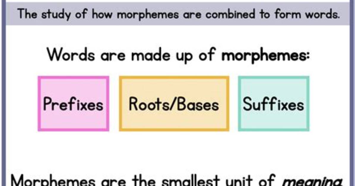 Was Does Morphological Mean?