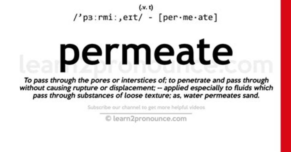 Was Does Permeate Mean?
