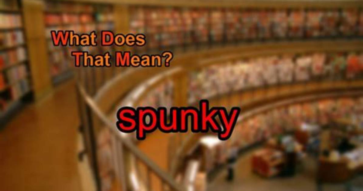 Was Does Spunky Mean?