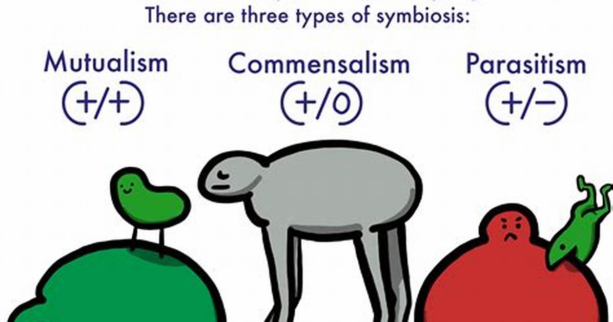 Was Does Symbiotic Mean?