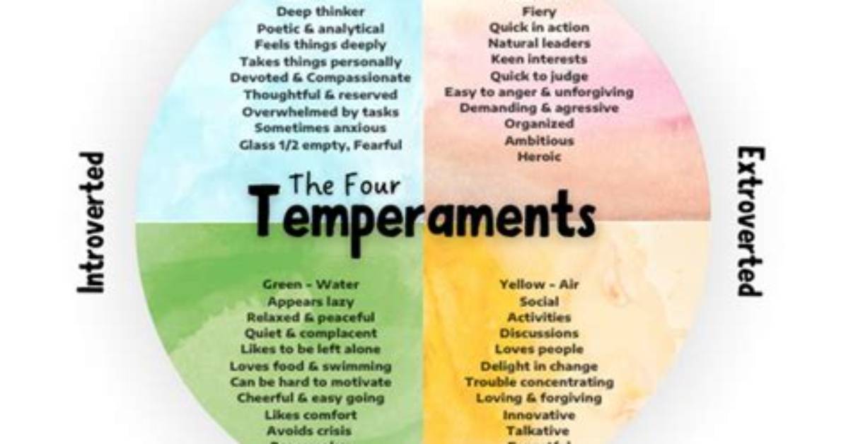 Was Does Temperamental Mean?