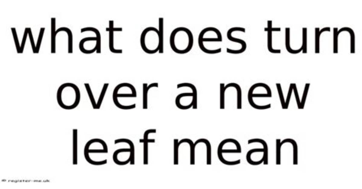 Was Does Turn over Mean?