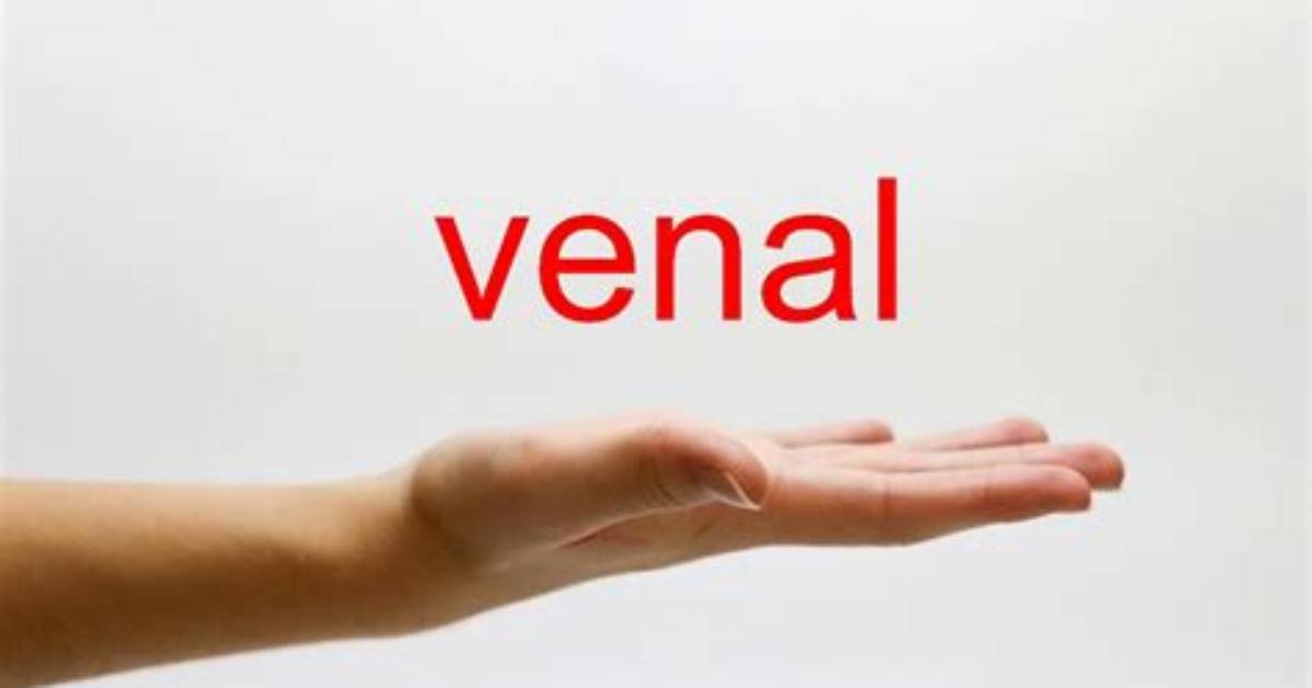 Was Does Venal Mean?