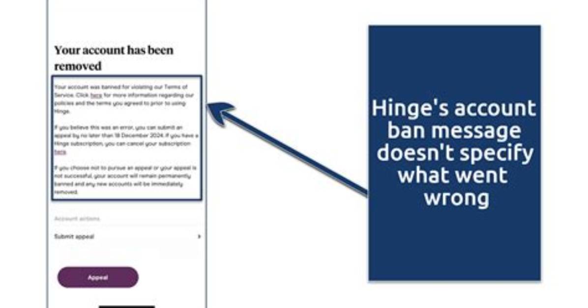 Was I Banned from Hinge?