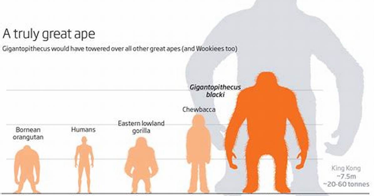 Was King Louie a Gigantopithecus?