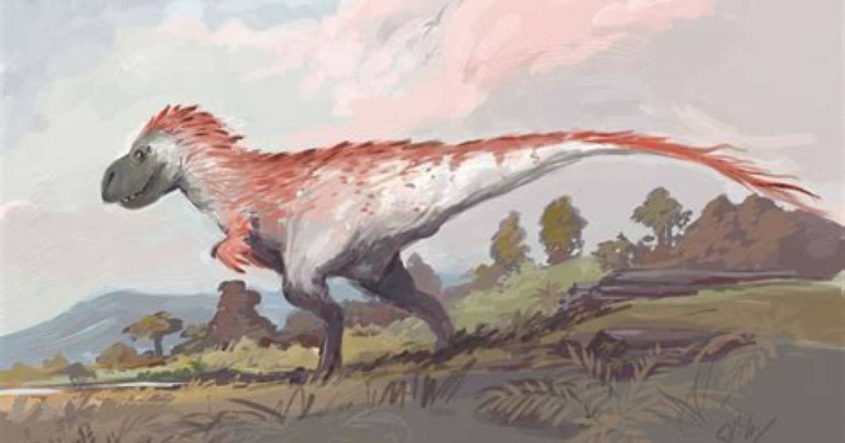 Was T Rex Feathered?