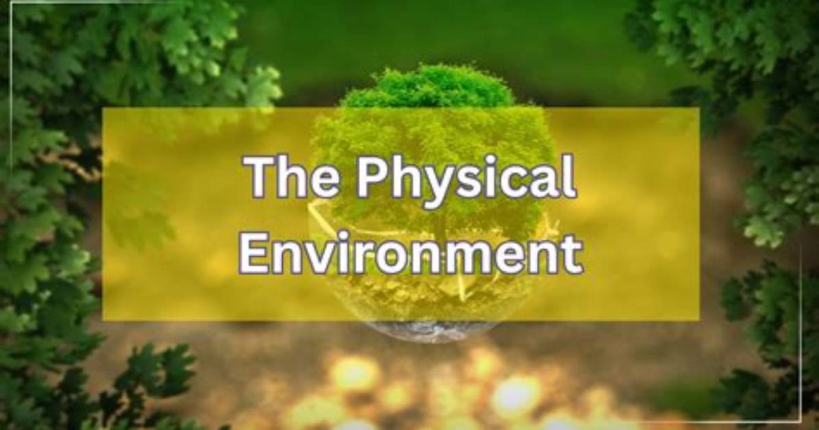 Was the Physical Environment?