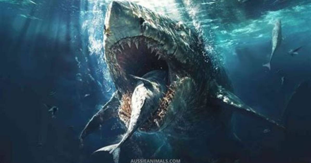 Was There a Megalodon?