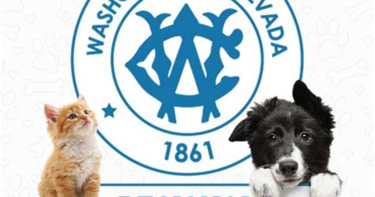 Washoe County Animal Services Looking for Help with Overcapacity | News