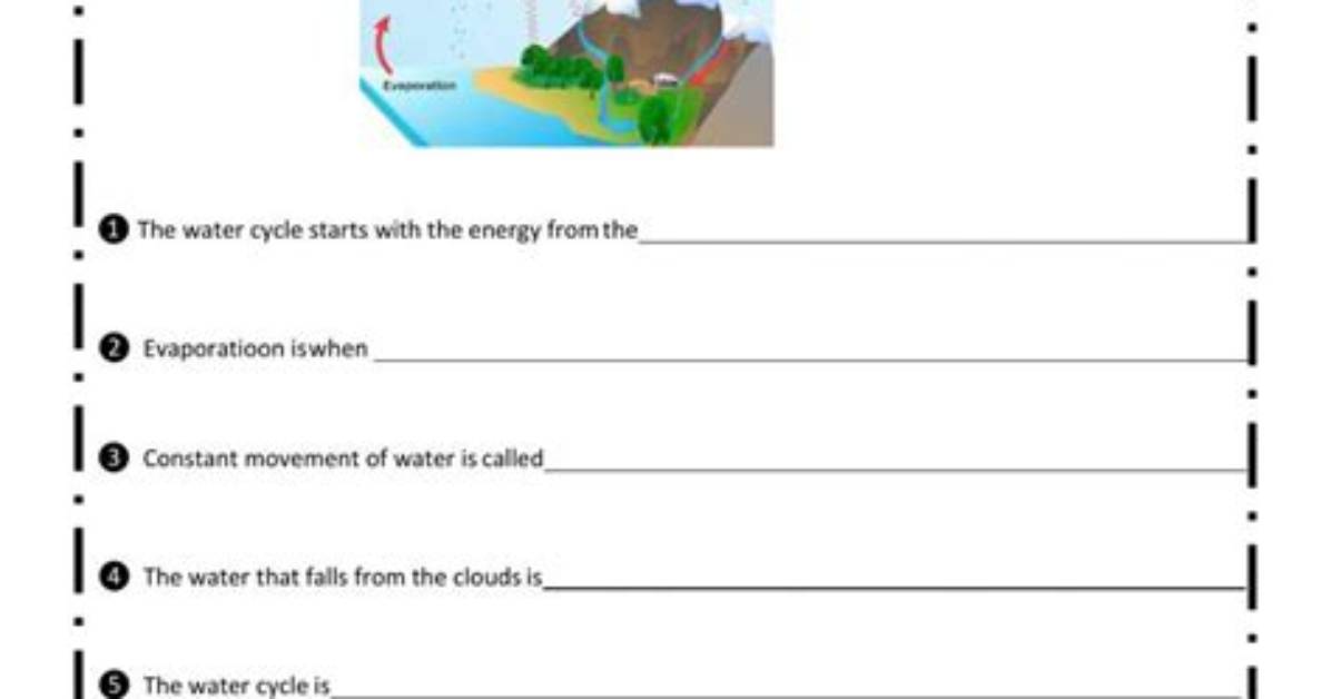 Water Cycle Quiz