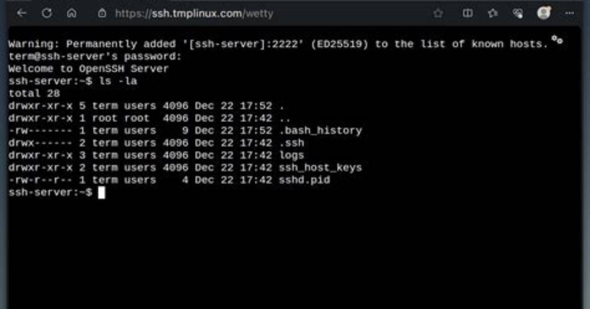Web Browsing over Ssh