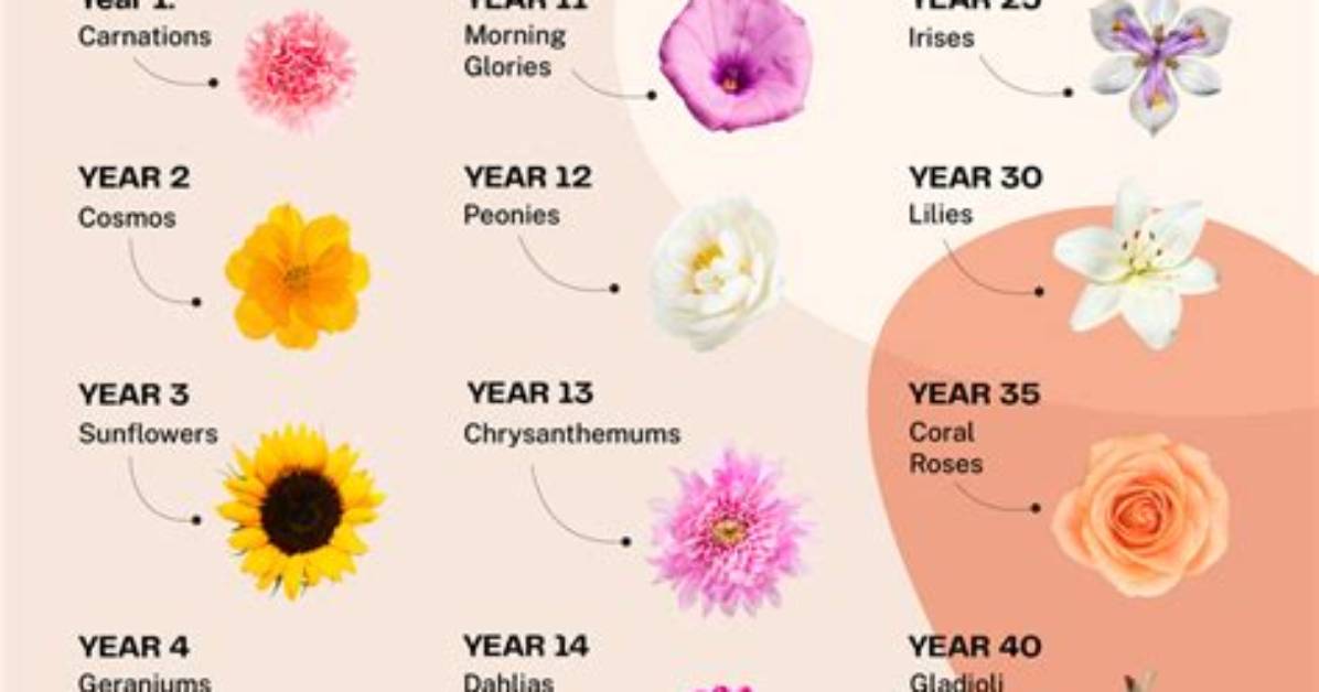 Wedding Anniversary Flowers and Their Meanings