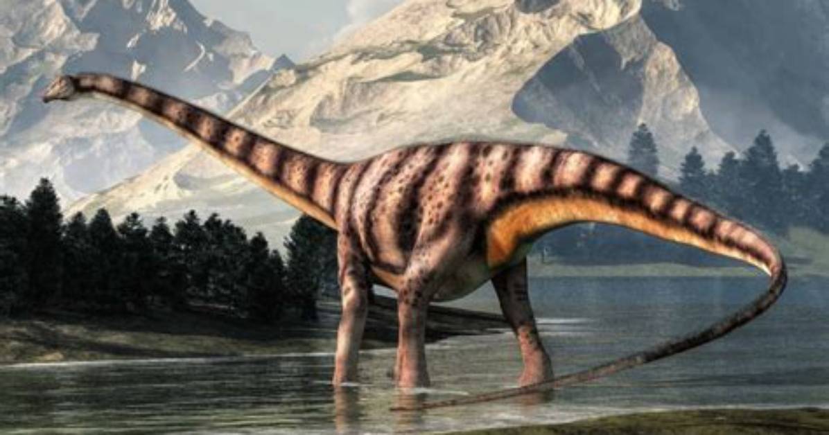 Were Do Diplodocus Live?