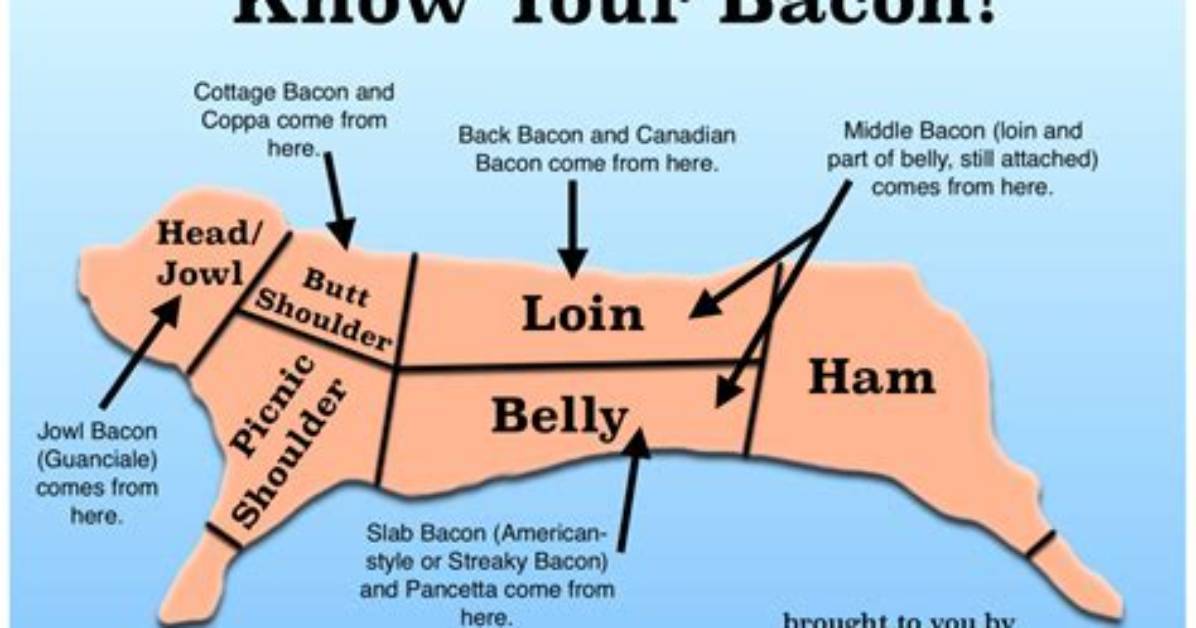 Were Does Bacon Come from?