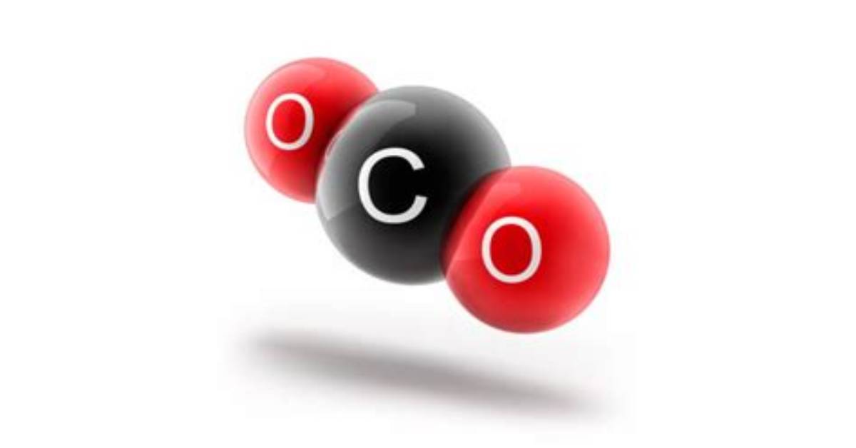 Were Does Carbon Dioxide?