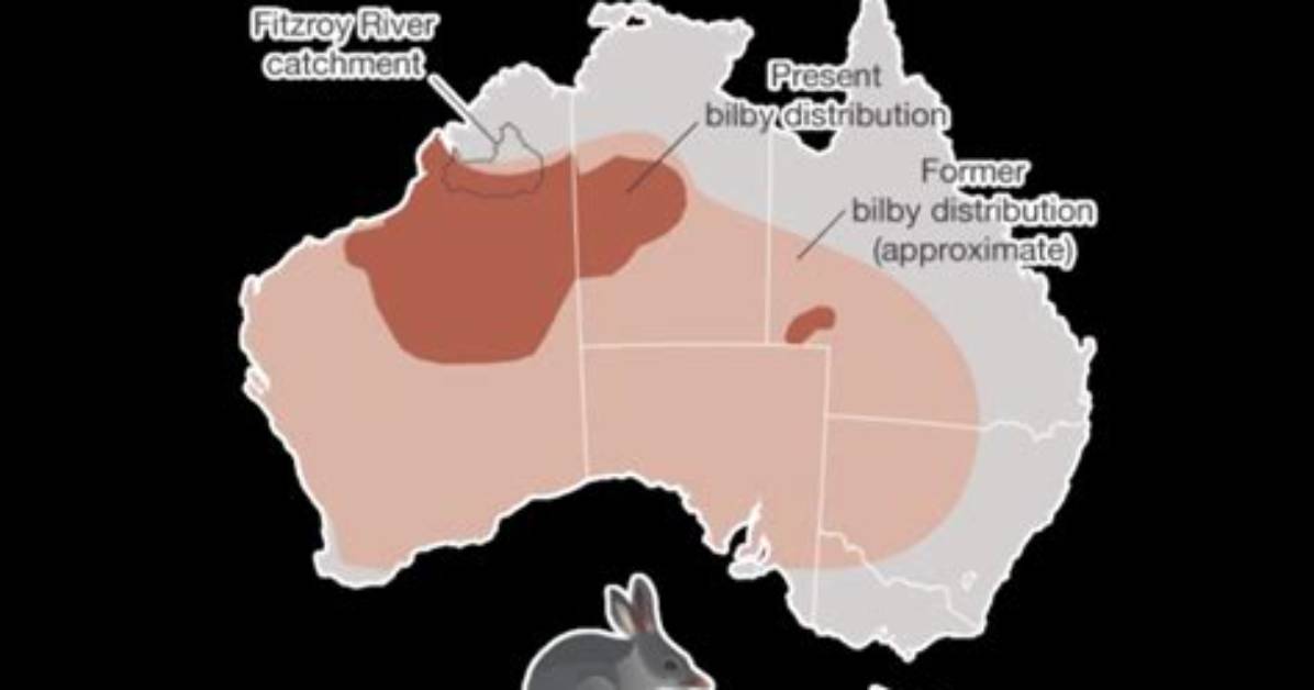 Were Does the Bilby Live?