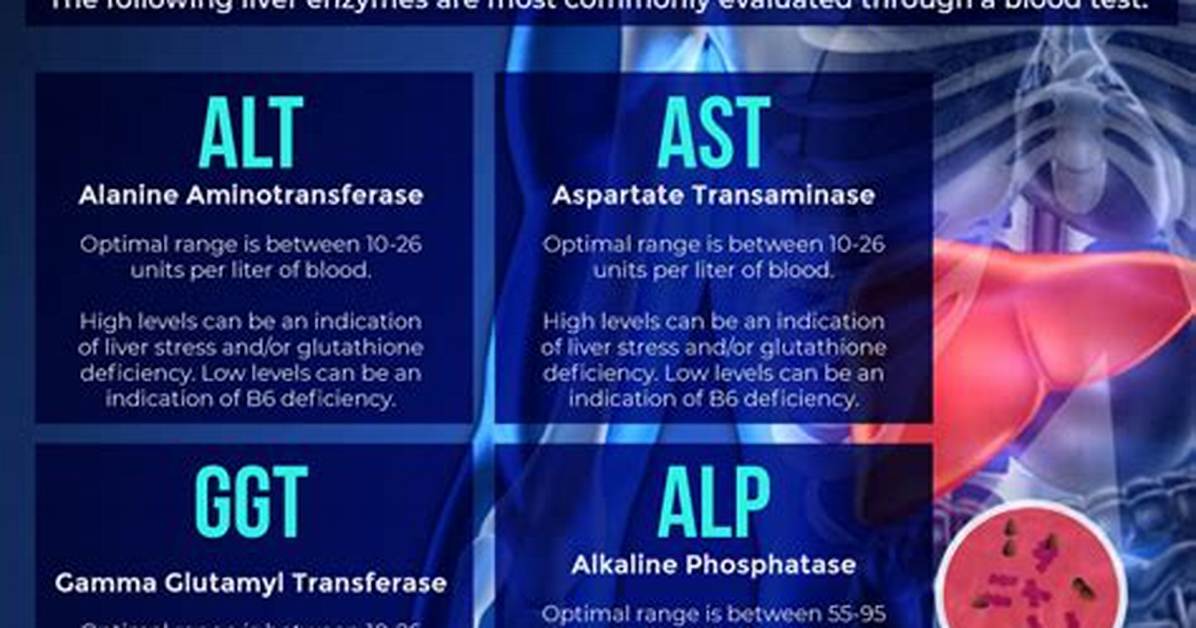 Were Elevated Liver Enzymes?