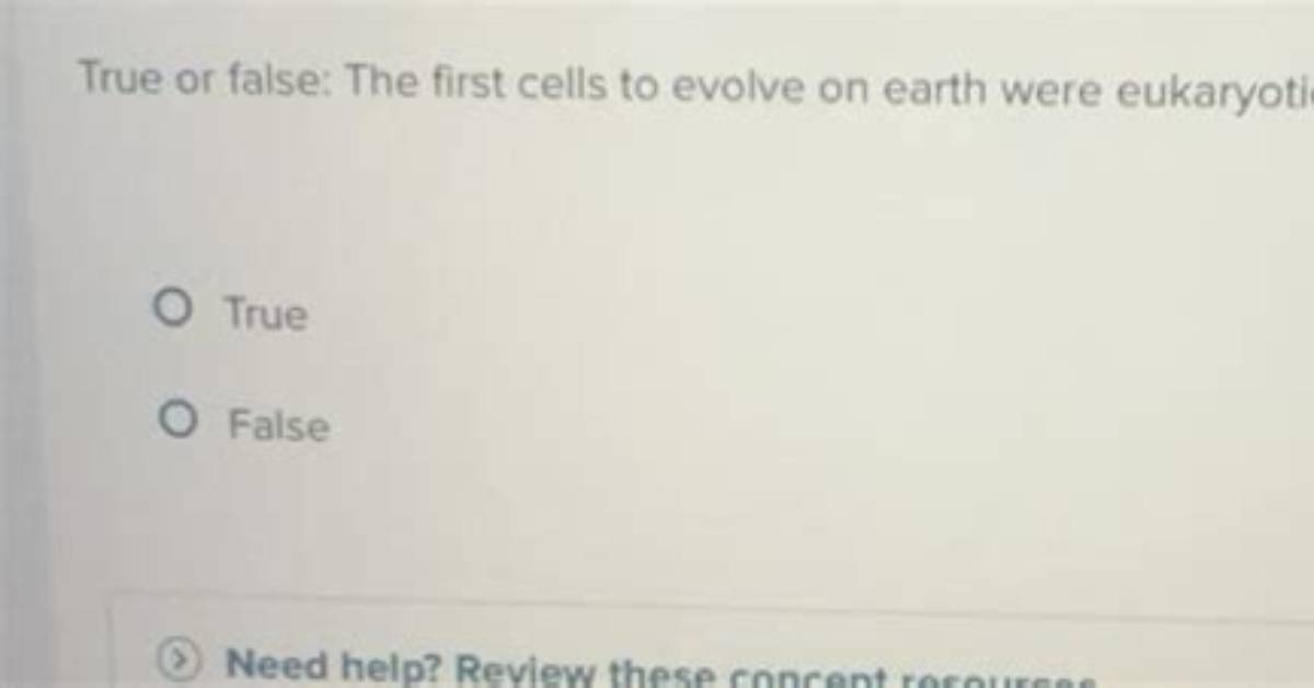 Were Eukaryotic Cells the First Cells?