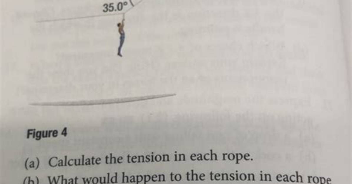 Were Shown the Ropes?
