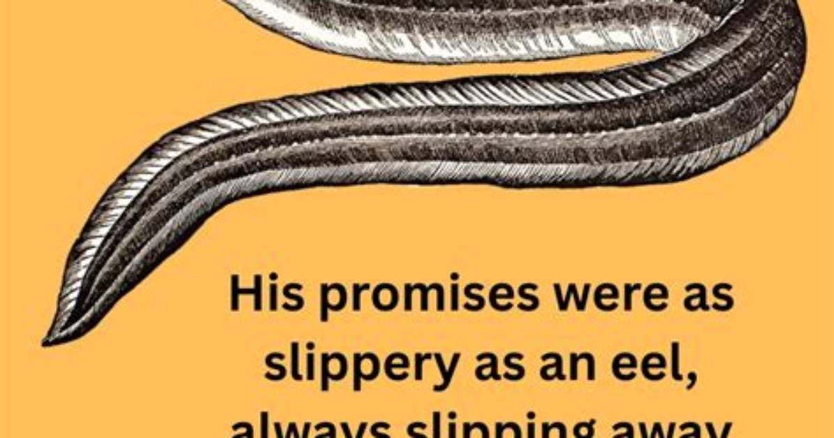 Were Slippery as an Eel?