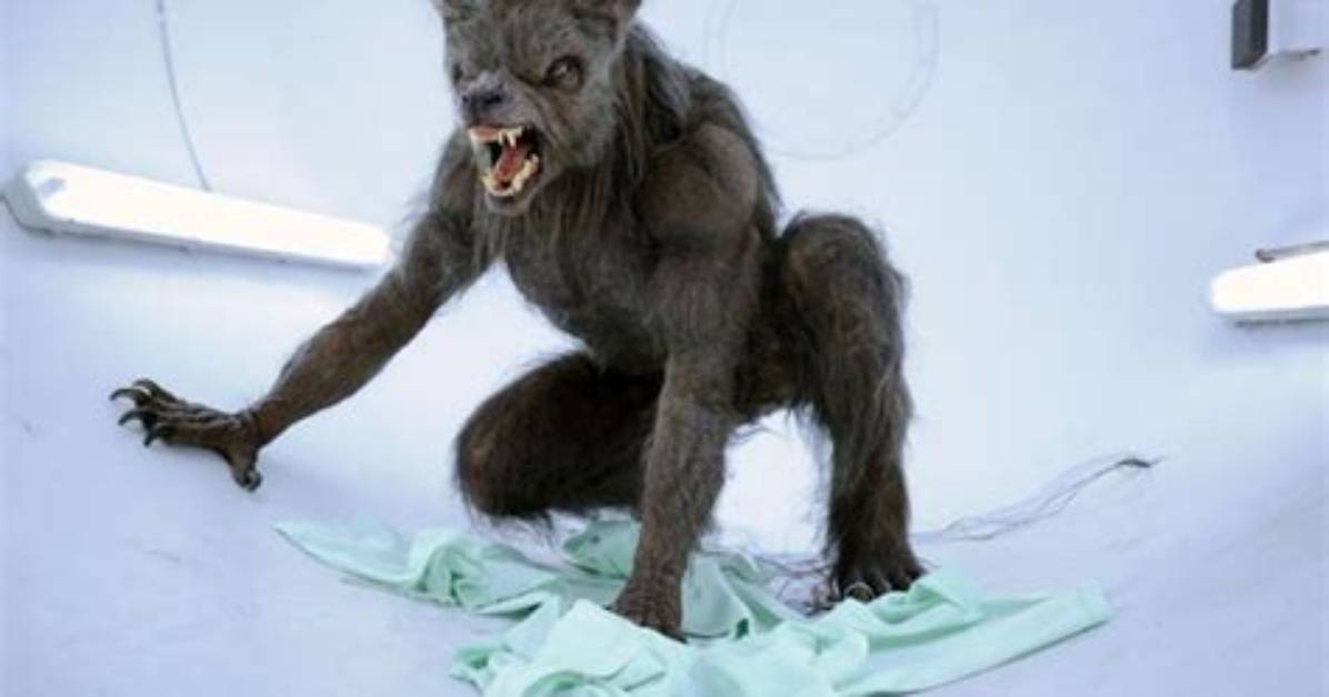 Werewolves Are Real