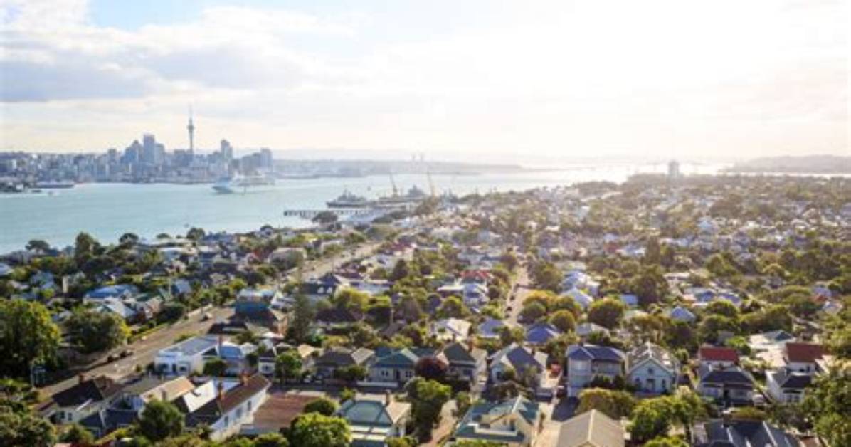 West Auckland | Co-Curate