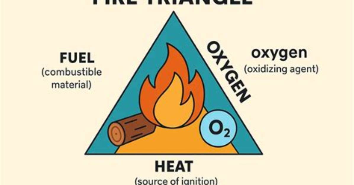 What 3 Things Happen During a Combustion Reaction?