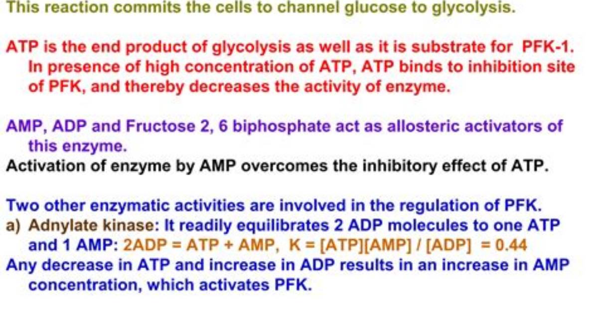 What Activates Pfk