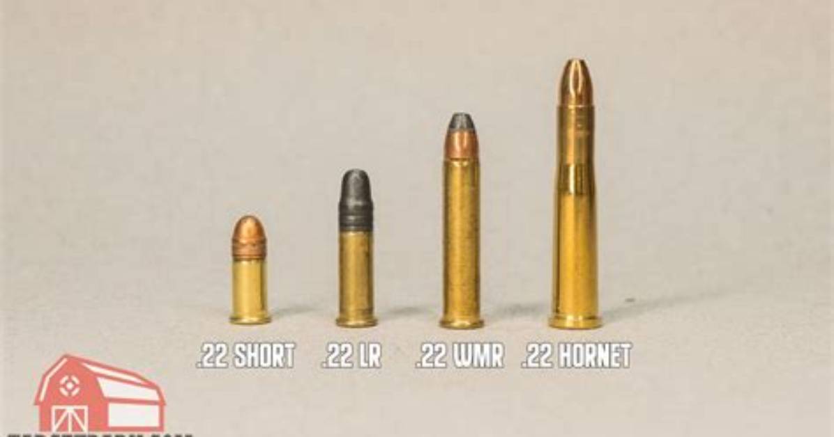 What Ammo Does a 10/22 Use