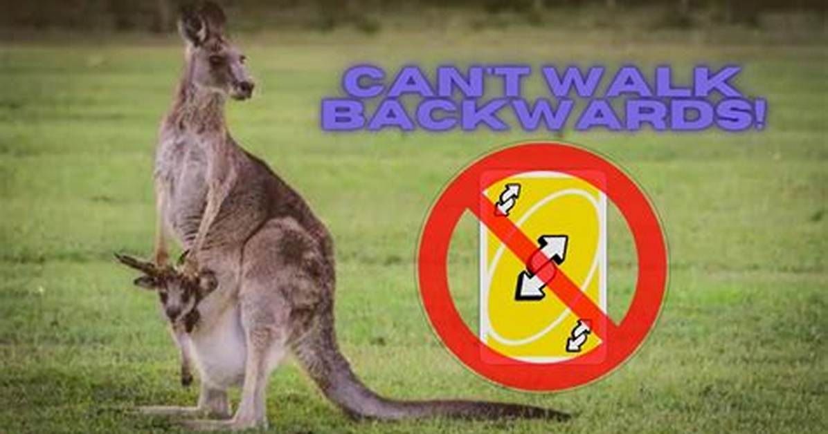 What Animal Cannot Go Backwards?
