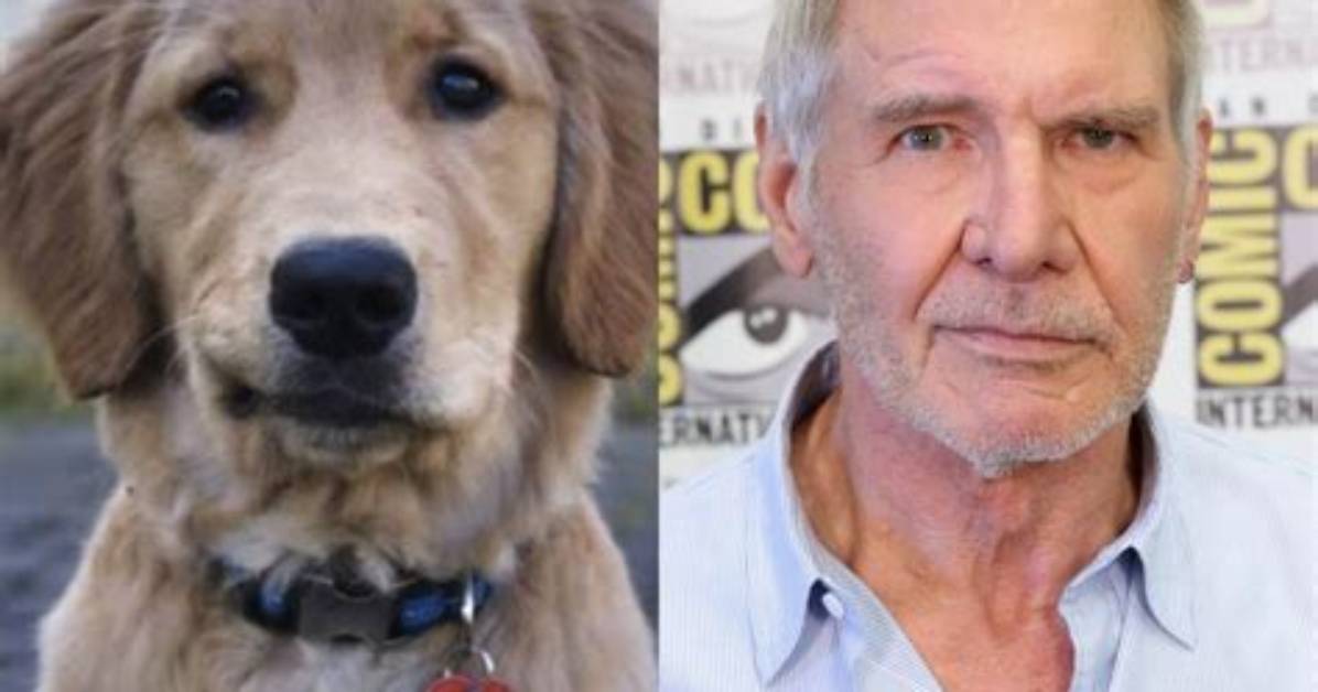 What Animal Is Sassy? – Celebrity